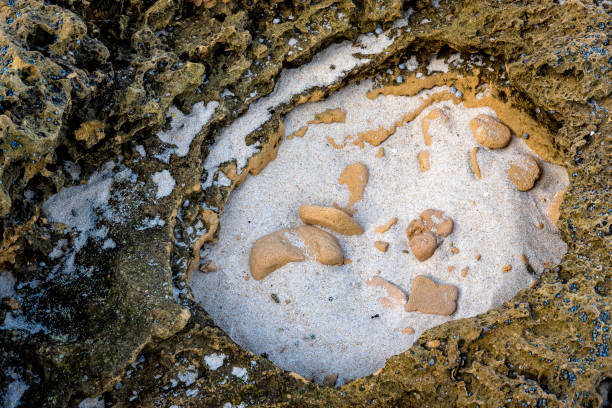 istock Closeup of a rock formation with a sand surface 1460736707