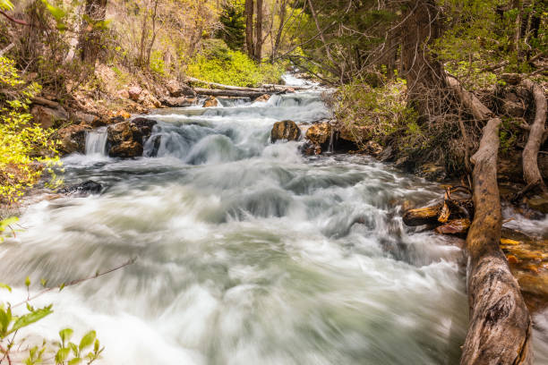 istock Beautiful flowing river with stones in a park 1460736727