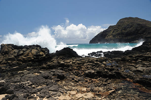 istock Rocks at Makapuu Beach Park 146073806
