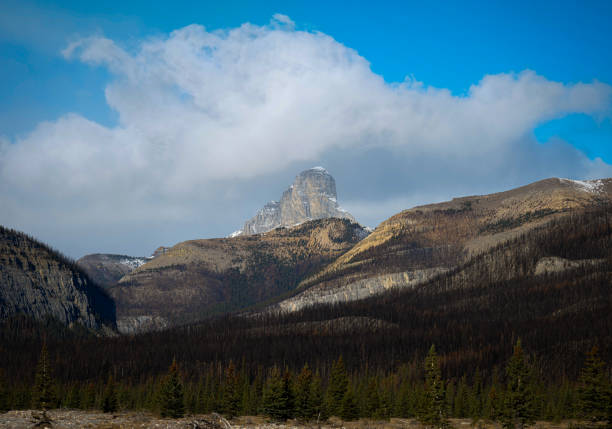 A scenic landscape with high mountains and a forest in Waiprus, Alberta