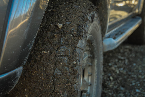 istock Muddy Tires on Off-road trail 1460739757