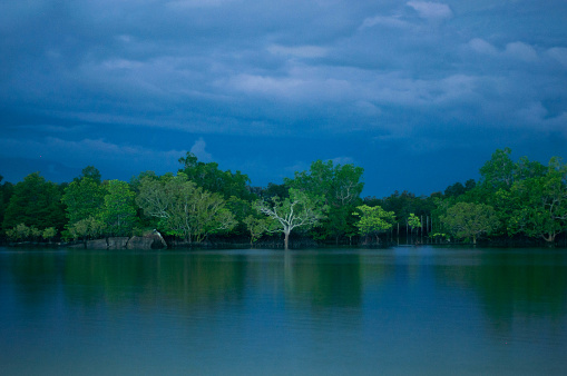 A beautiful view of a lake surrounded by green trees under a cloudy sky