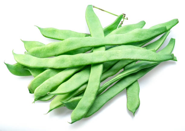 French green beans isolated on white background. Green beans are rich in protein, dietary fibres, and minerals but low in calories. French green beans isolated on white background. Green beans are rich in protein, dietary fibres, and minerals but low in calories. runner bean stock pictures, royalty-free photos & images