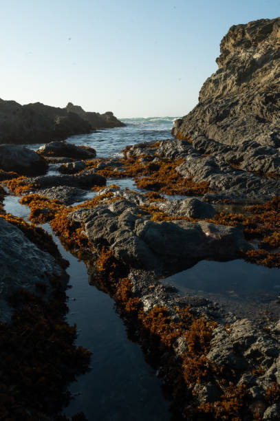 istock Vertical shot of cliffs and rock formations by the sea 1460739995