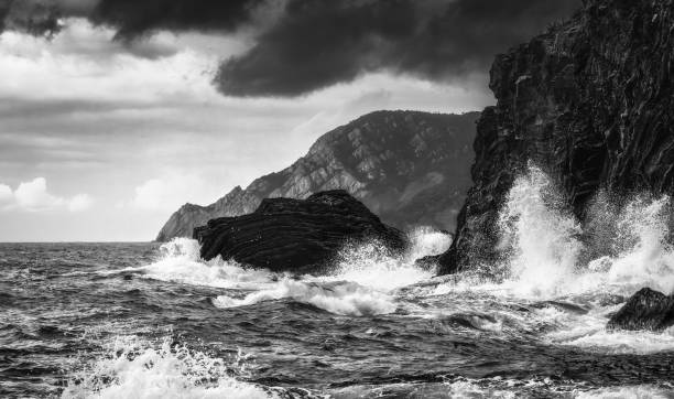 istock Winter Sea in black and white 1460740659
