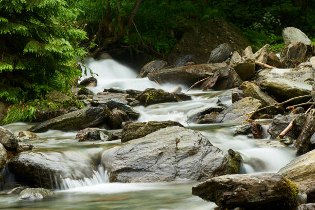 istock Breathtaking waterfall in the forest amid dense vegetation and big rocks 1460740857
