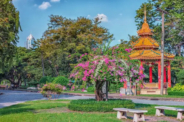 A beautiful view of Lumphini Park in Bangkok city with green and purple trees