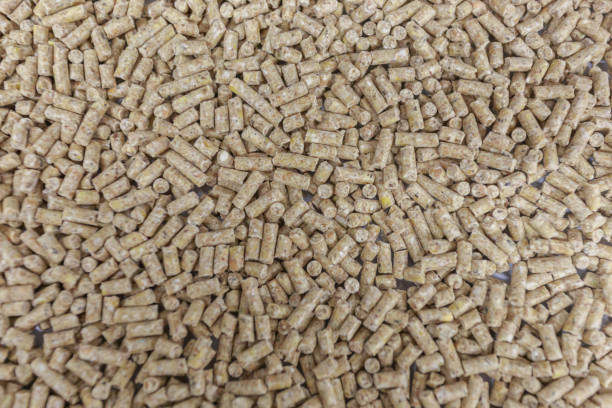 Closeup view of granules - food for broilers at chicken farm. Mix of soybeat and corn for grow out house of poultry factory.