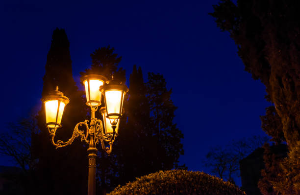 istock Street lamp in a park in the evening 1460743806