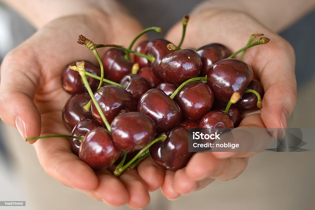Mani piene di ciliegio - Foto stock royalty-free di Abbondanza