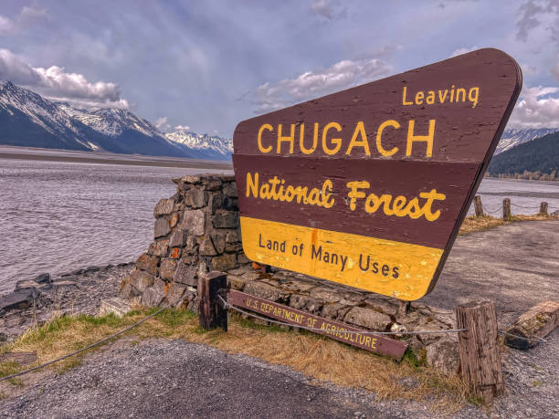 istock Sign saying Chugach National Forest in Alaska 1460744886