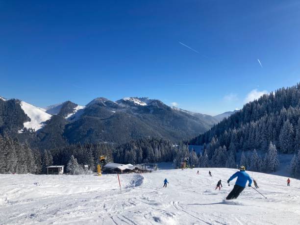 istock Skiing in the Alps 1460746304