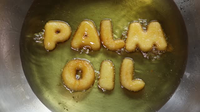 word PALM OIL made from french fries in frying pan