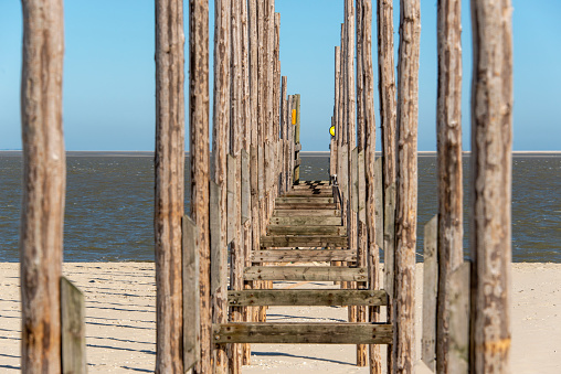 Wooden poles from the Vlieland ferry jetty on Texel.