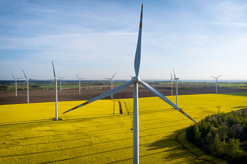 Wind turbines in a rapeseed field near Wolin, Poland