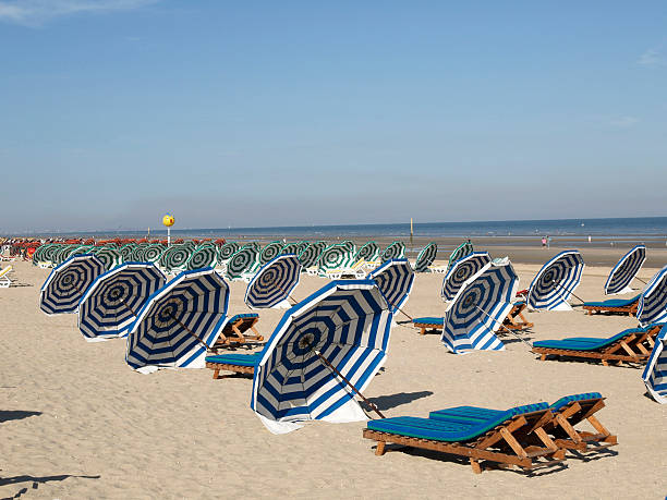 istock Beach unbrellas and sunloungers 146075130