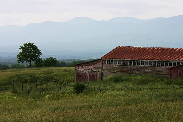 Old stable stock photo