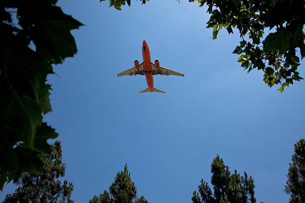 Airplane through the trees