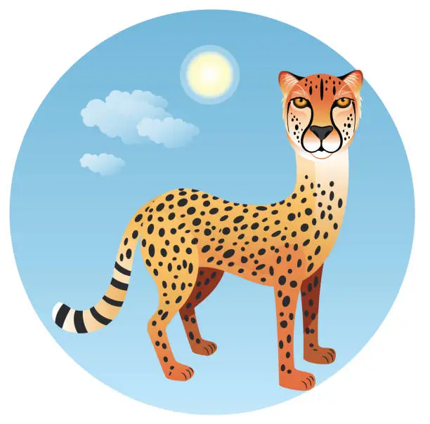 Vector illustration of Northeast African cheetah