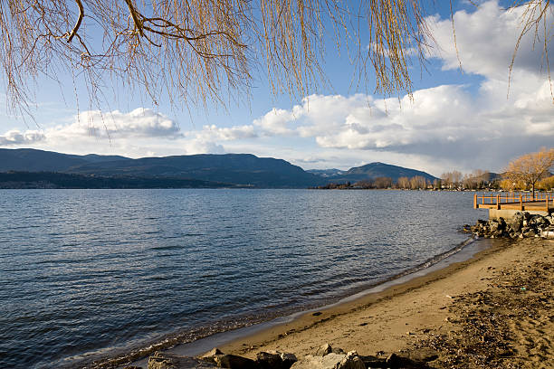 istock Okanagan Lake beach 146075682