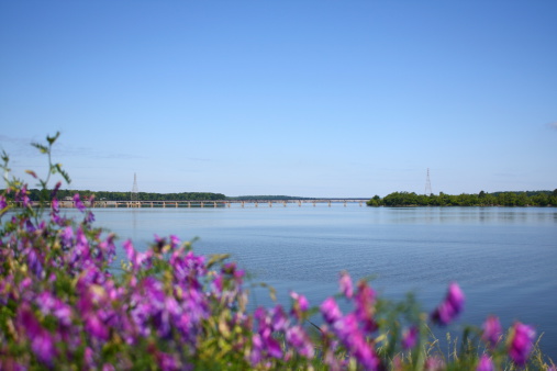 Shot of the lake & train trussel bridge over out of focus wildflowers