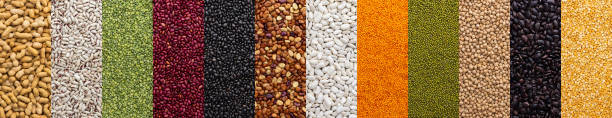 istock Banner of different types of legumes 1460759449