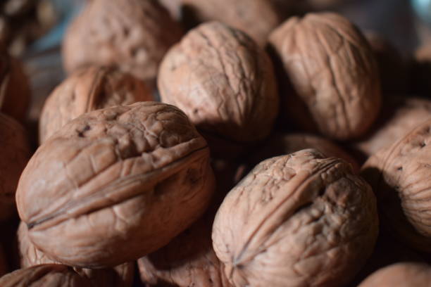 Walnuts from Chile stock photo