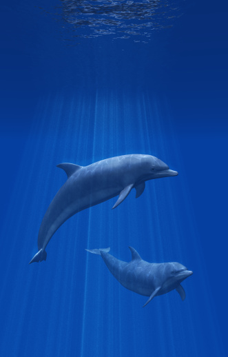3D render of two dolphins undersea.