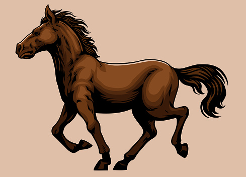 Vector of Hand Drawn Manual of Vintage Pony Horse