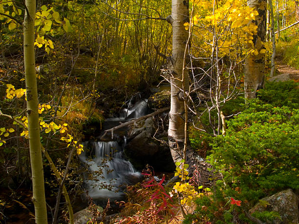 istock Autumn Colors and Brook 146076602