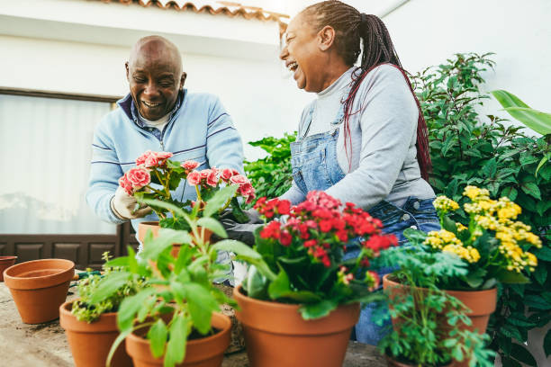 donne multirazziali che preparano piante di fiori all'interno del giardino di casa all'aperto - focus sul viso della donna africana - horticulture foto e immagini stock