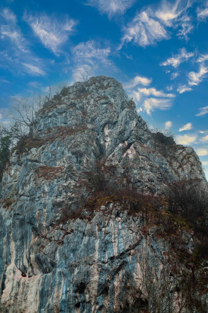 istock Winter landscape with Romanian mountains 1460768531