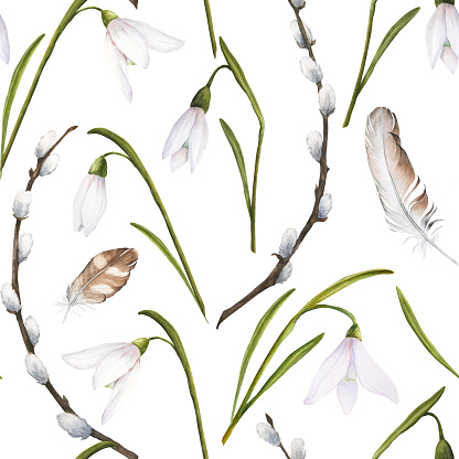 Seamless pattern with watercolor illustration of delicate snowdrops, feathers and pussy-willow branches on white background. Floral pattern. Can be used for fabric prints