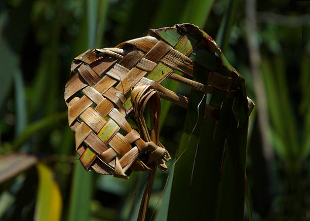 編み込みニュージーランドフラックス - new zealand flax ストックフォトと画像