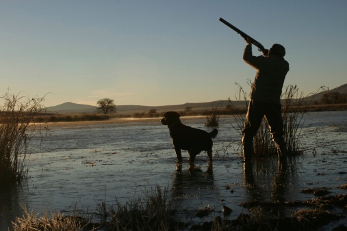 A duck hunter and his hunting dog.