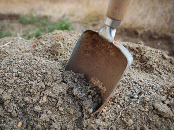 istock Shovel stuck in the soil 1460771368