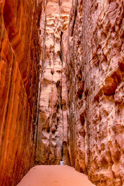 istock Canyon in the desert 1460773434