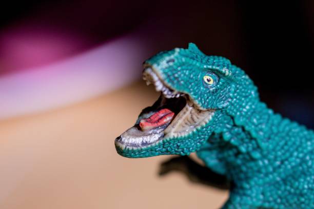 Rawr! Toy Dinosaur (Velociraptor) dinosaur rawr stock pictures, royalty-free photos & images