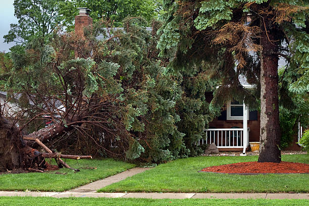 Storm Schäden – Foto