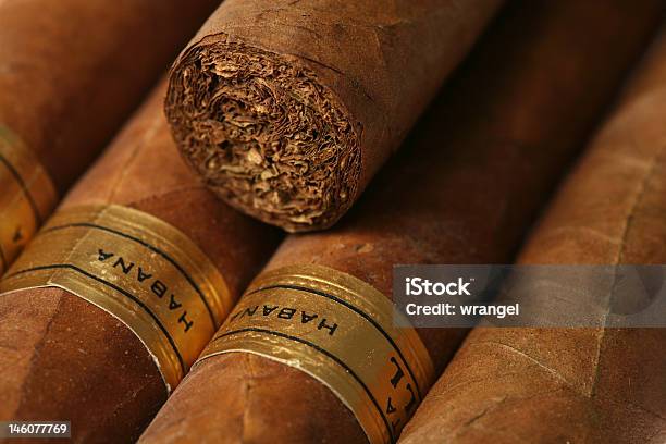 A Closeup Shot Of A Havana Cigars With Golden Labels Stock Photo - Download Image Now