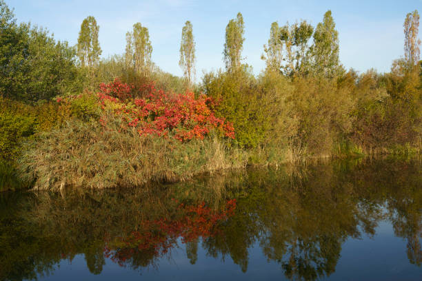 Milan, Lombardy, Italy: the park known as Parco Nord in an autumn morning