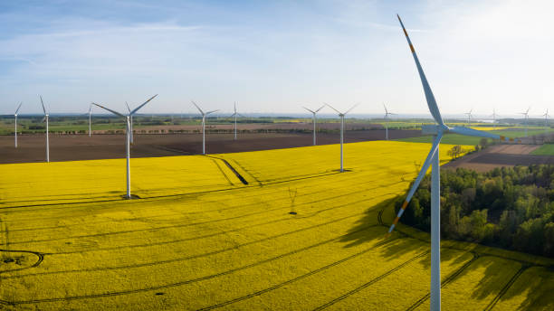 éoliennes dans un champ de colza près de wolin, pologne - windmill cultivated land crop day photos et images de collection