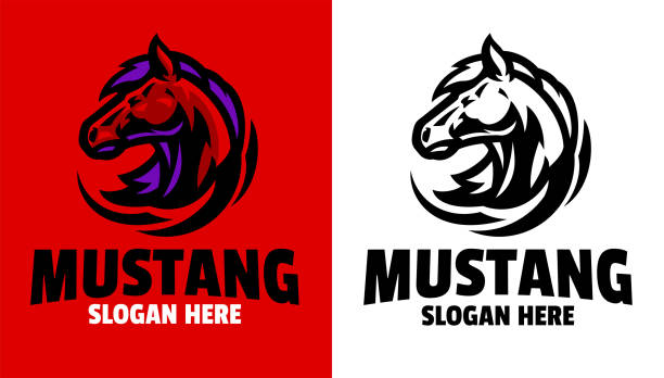 illustrazioni stock, clip art, cartoni animati e icone di tendenza di set di coppia mustang head - stallion