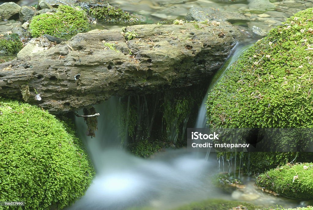 Petite chute d'eau - Photo de Beauté de la nature libre de droits