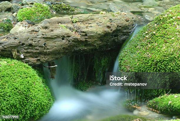 Photo libre de droit de Petite Chute Deau banque d'images et plus d'images libres de droit de Beauté de la nature - Beauté de la nature, Bois, Caillou