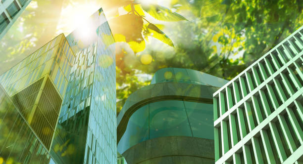 istock Go green concept. Low angle view of modern building and tree on sunny day 1460781663