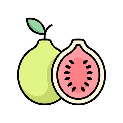guava fruit icon vector design template in white background