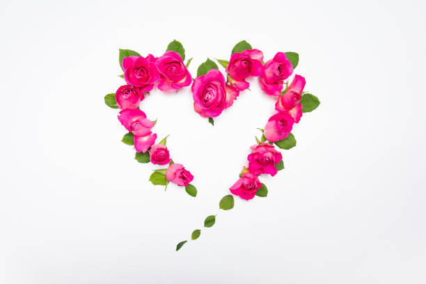 istock Beautiful spring flowers background. Spring time is coming 1460787885
