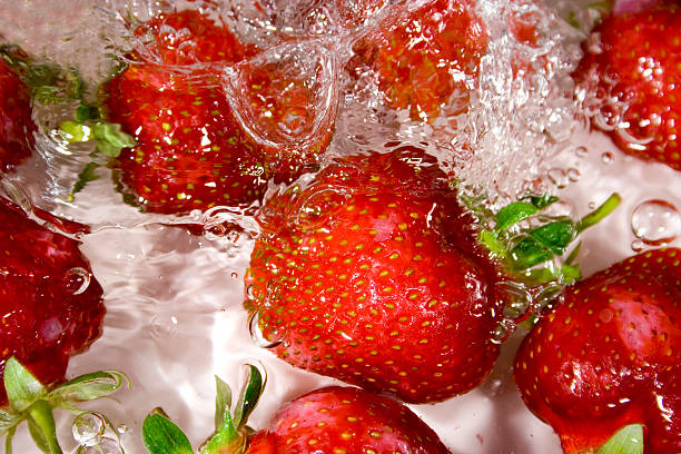 istock strawberries on white background with pouring water and bulbs 146078926