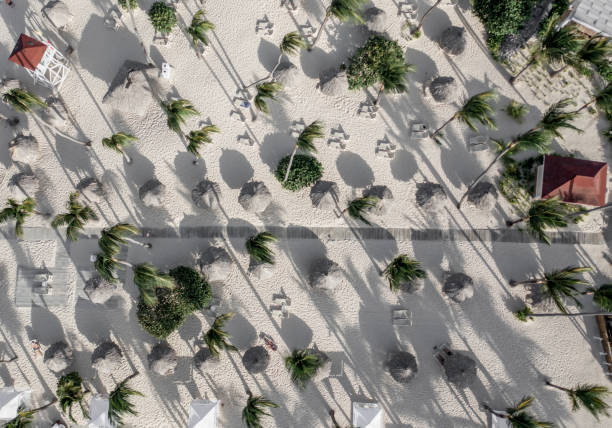 istock Aerial Top Down Photo 1460789377